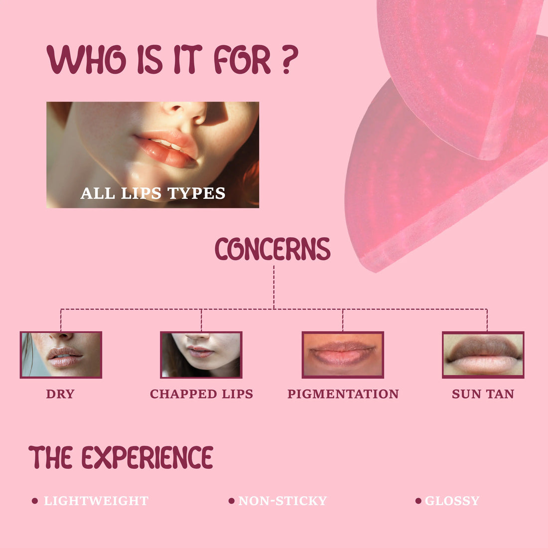 Product feature chart for lip care, showing different lip types and concerns on a pink background.