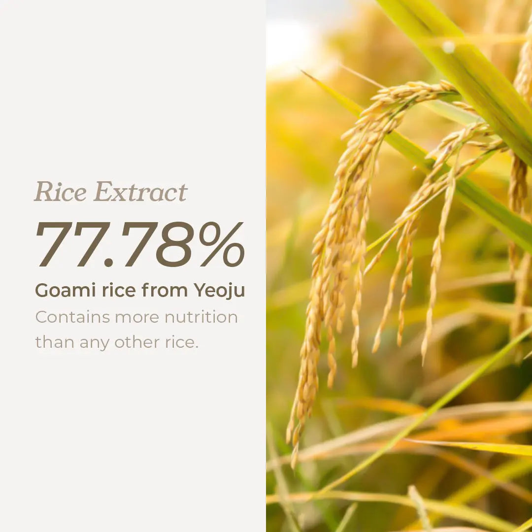 Rice plant with text about rice extract and Goami rice from Yeouj